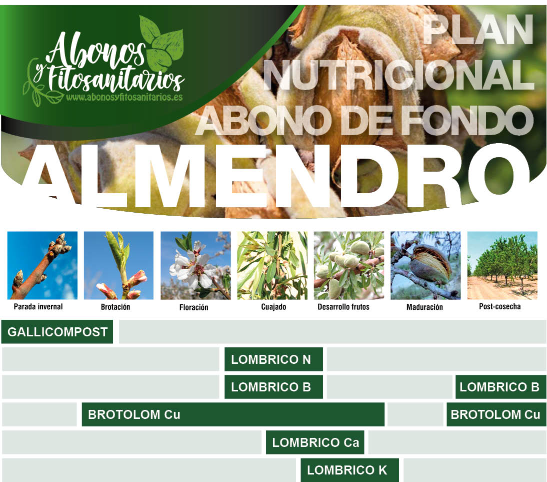 PLAN DE ABONADO EN ALMENDRO CON ABONO DE FONDO MÁS TRATAMIENTOS FOLIARES O POR FERTIRRIGACIÓN