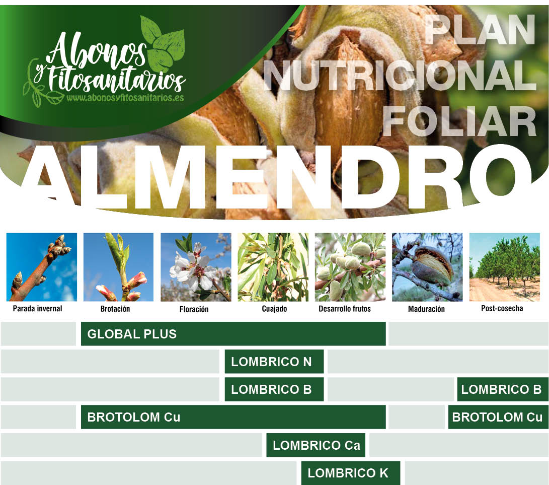 PLAN DE ABONADO EN ALMENDRO CON TRATAMIENTOS FOLIARES O POR FERTIRRIGACIÓN